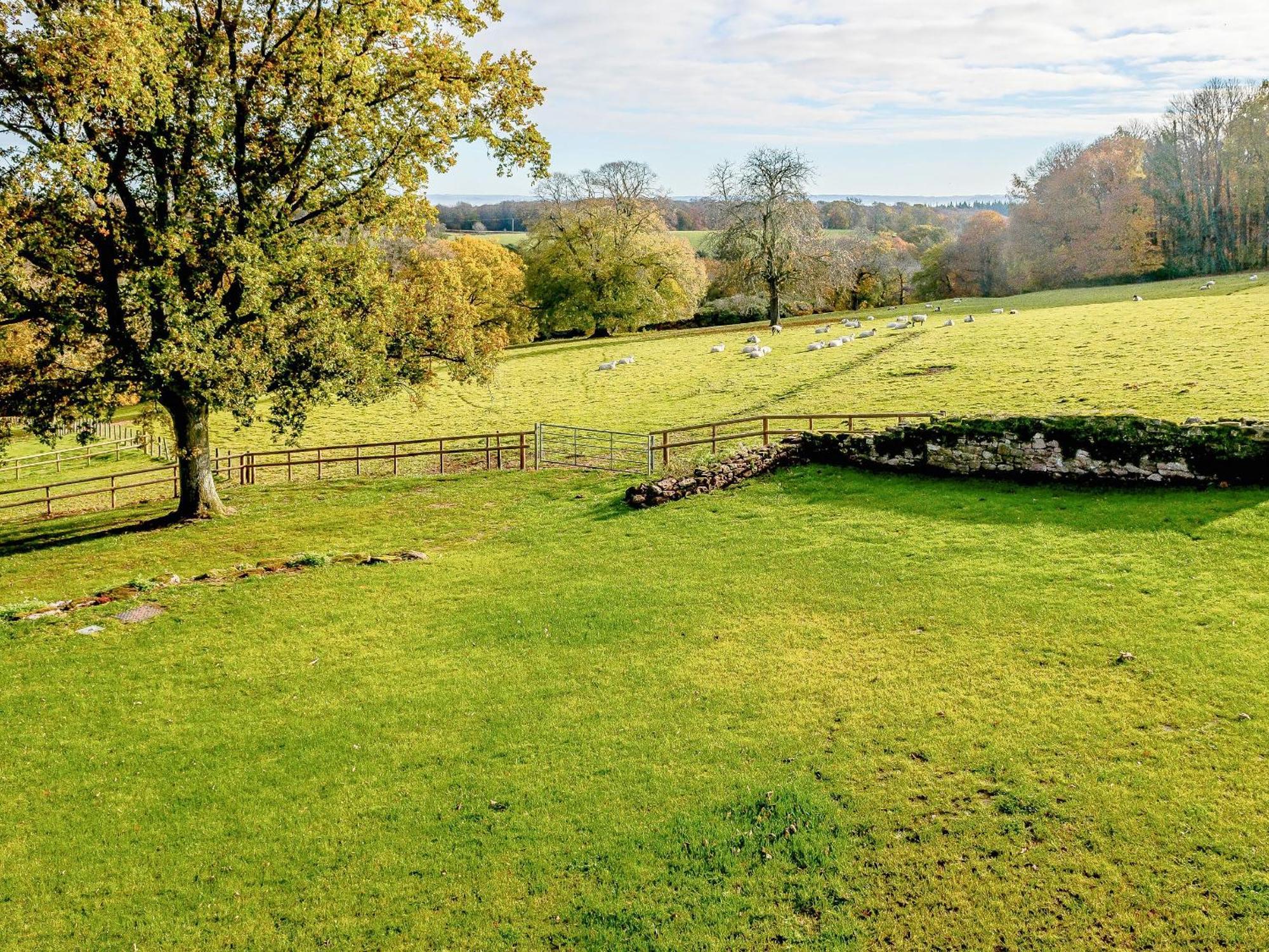 Owl Barn -- Uk30757 Bream Exterior foto
